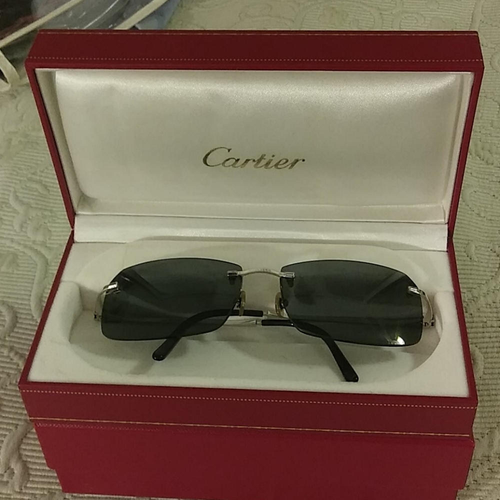 Cartier Portofino 50/80 130 Platinum.